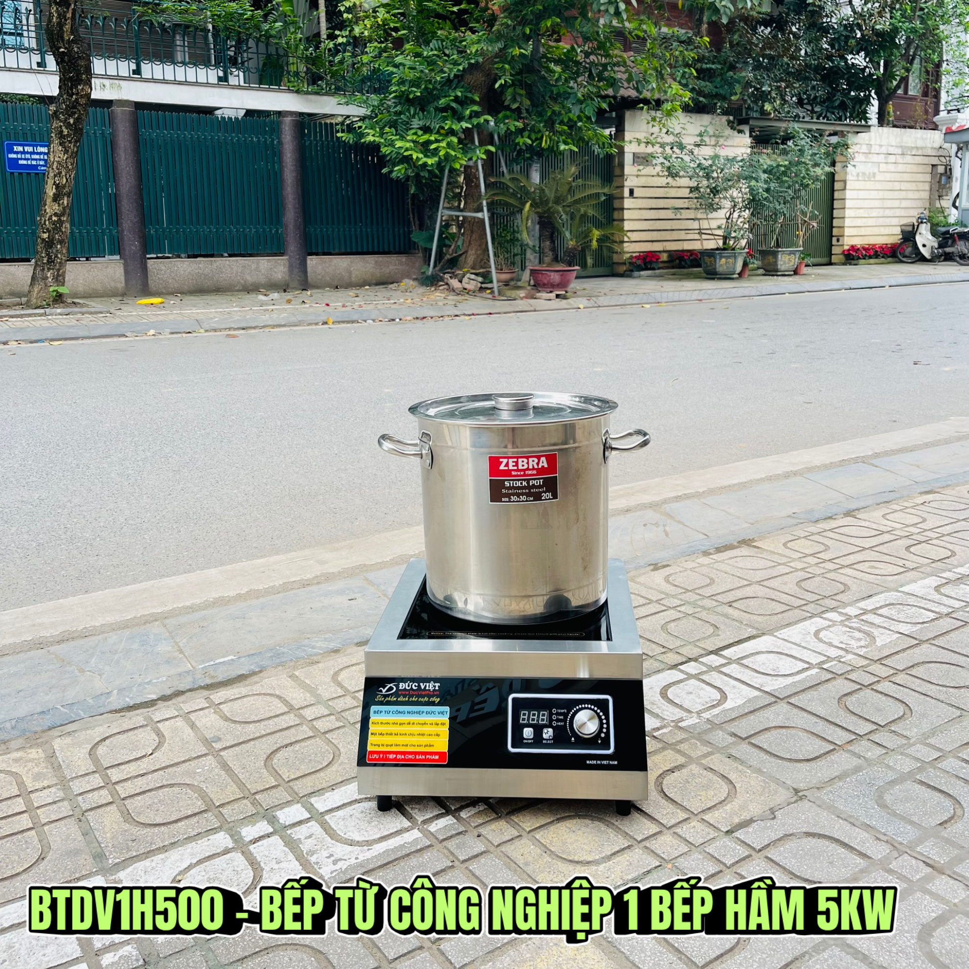 rossy.vn